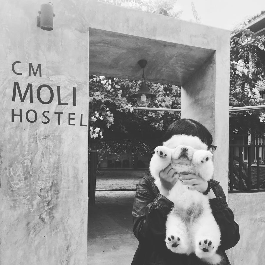ChiangMai Moli INN Chiang Mai Bagian luar foto