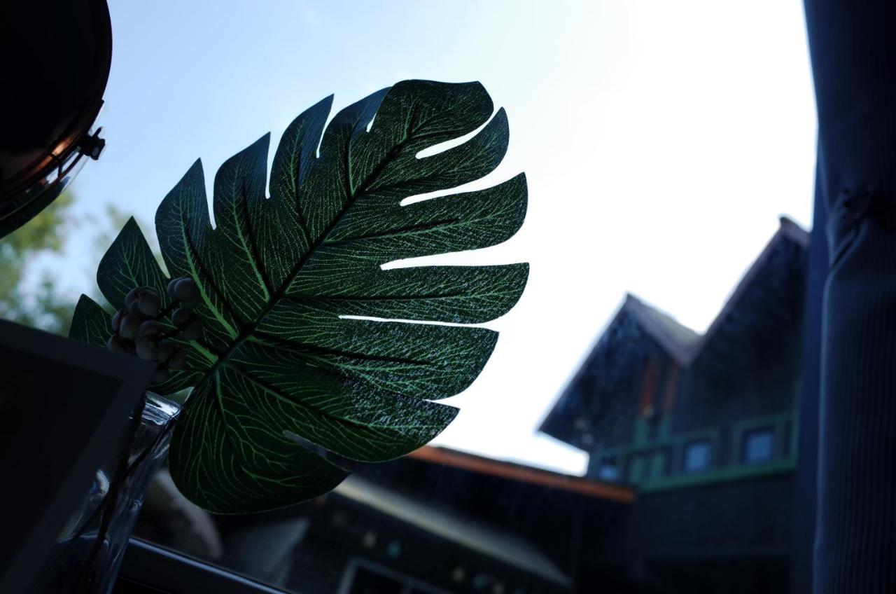 ChiangMai Moli INN Chiang Mai Bagian luar foto